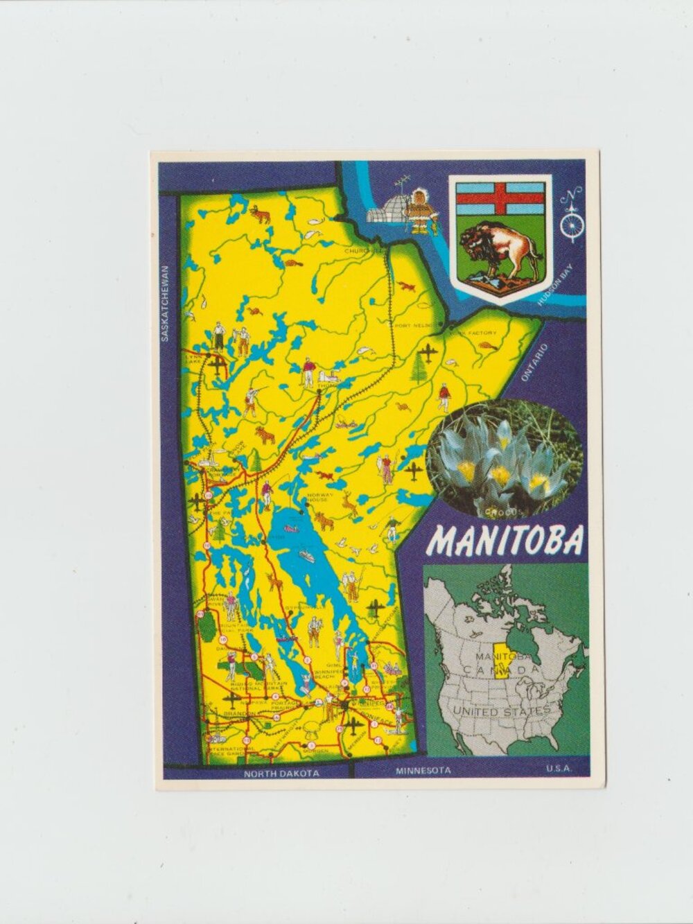 The Map Of Manitoba, Canada Postcard